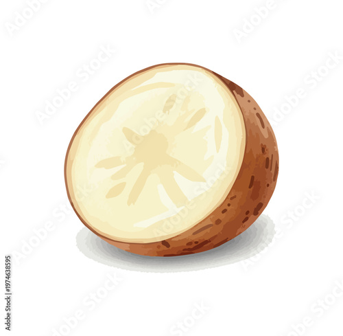 Half potato illustration isolated on black background