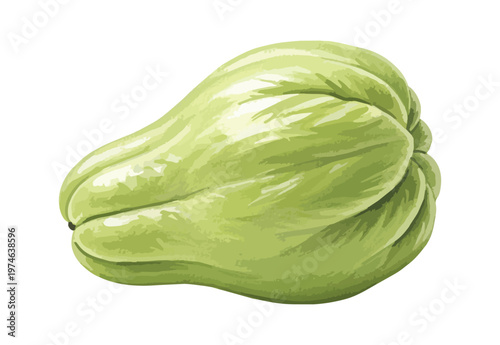 Isolated green chayote squash illustration against black background