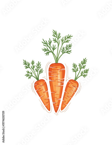 Three carrots illustration on black background