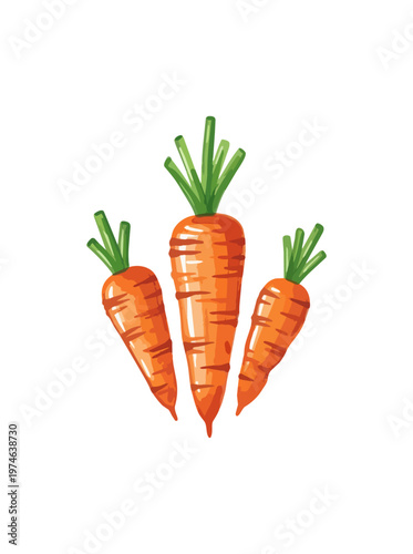 Three fresh carrots isolated on black background vector illustration