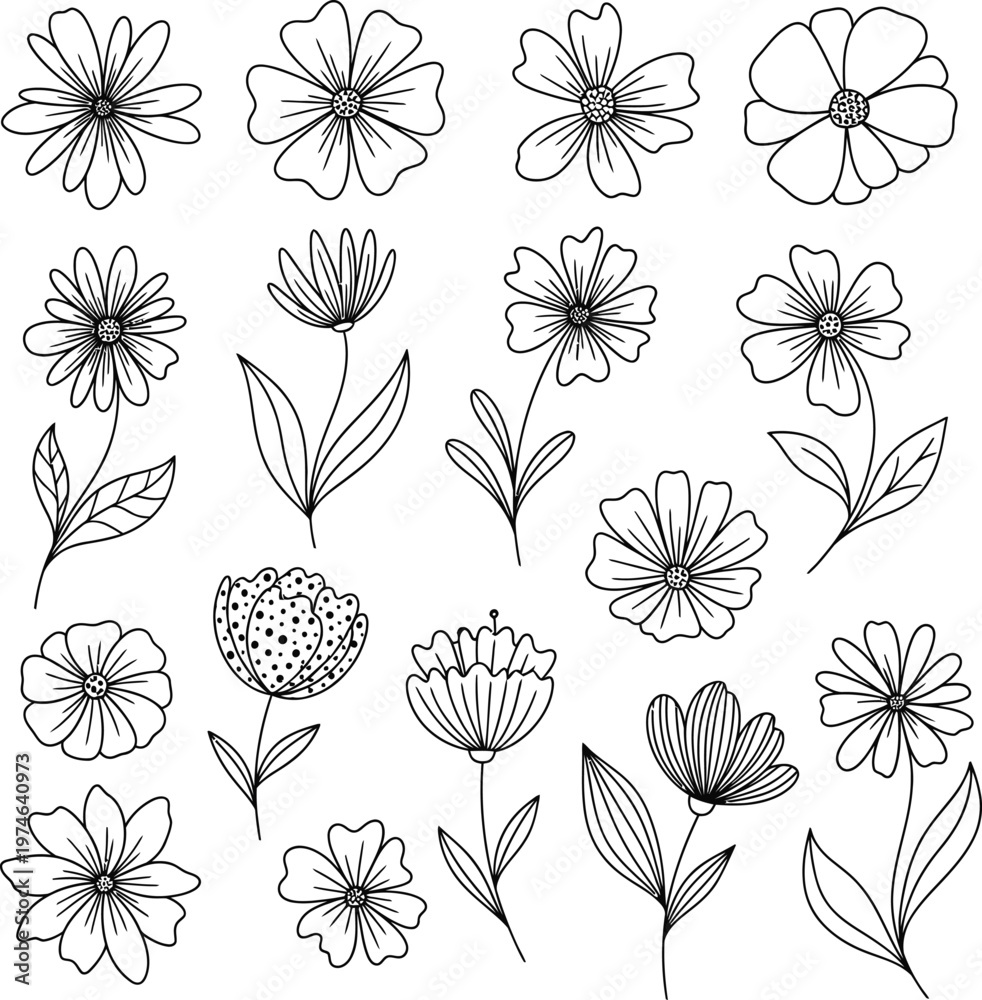 Obraz premium Collection of hand drawn flower illustrations, botanical line art