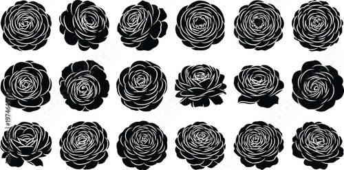 Black and white roses in rows floral flowers