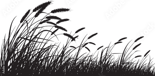Elegant black silhouette of a field of mature grass and grain stalks, gracefully bending and swaying as if moved by a gentle wind, ideal for organic designs