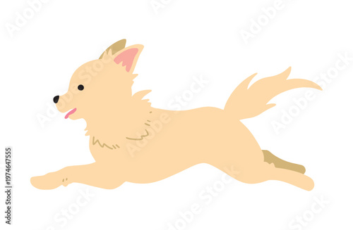 走るチワワ　犬イラスト