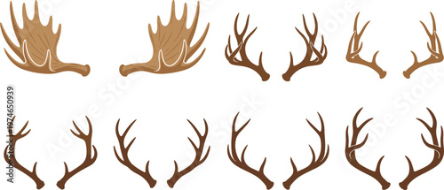 Collection of Deer Antlers and Moose Horns for Wildlife, Nature, and Animal Design Projects