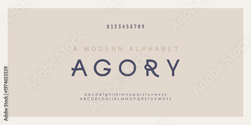 Elegant awesome alphabet letters font and number. Classic Lettering Minimal Fashion Designs. Typography fonts regular uppercase and lowercase. vector illustration