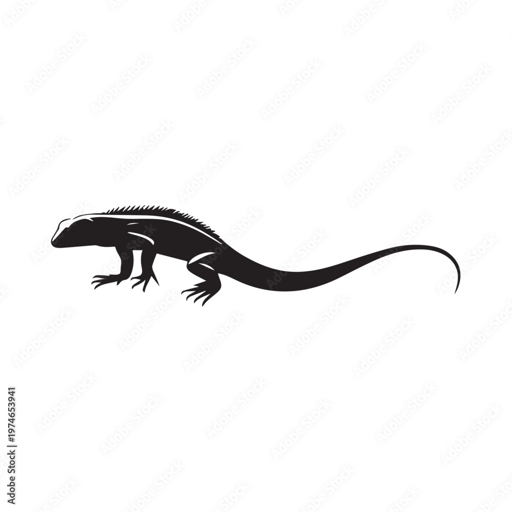 Fototapeta premium lizard on white background