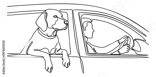 Line art illustration of a dog leaning out of a car window depicting a road trip with owner for pet and travel design