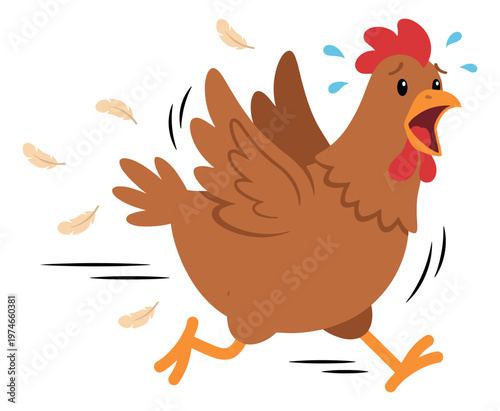 Cartoon illustration of a scared chicken depicting panicked running with flying feathers for funny farm animal design