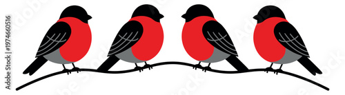 Flat illustration set of 4 bullfinches depicting colorful songbirds perched on a branch for nature and seasonal design