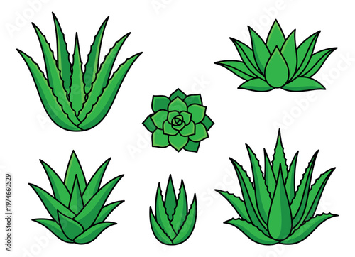 Cartoon icon set of 6 succulent and aloe vera plants featuring desert botanicals in green tones for nature and garden design