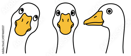 Cartoon illustration set of 3 white duck heads depicting funny bird faces with yellow beaks for animal and nature design