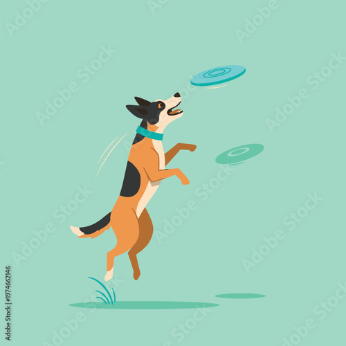 Energetic dog leaping to catch frisbee in mid-air.
