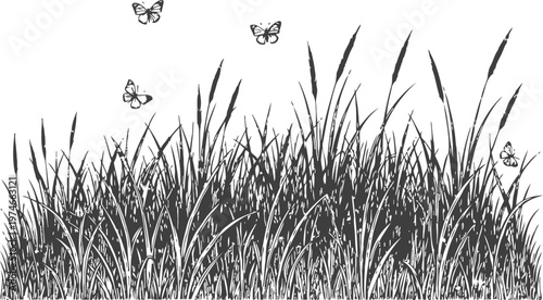Tall grass silhouette with butterflies fluttering above in a natural outdoor scene