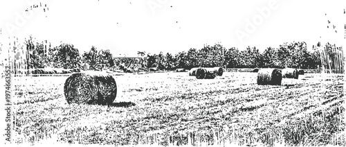 Round hay bales scattered across an open field with trees in the background
