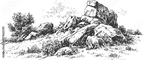 Natural rocky terrain with large boulders and shrubs in detailed black ink drawing