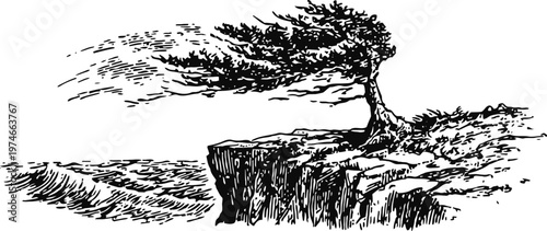 lone windswept tree on cliff edge overlooking turbulent sea with strong coastal wind