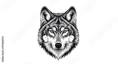 Wolf head with sharp teeth looking.