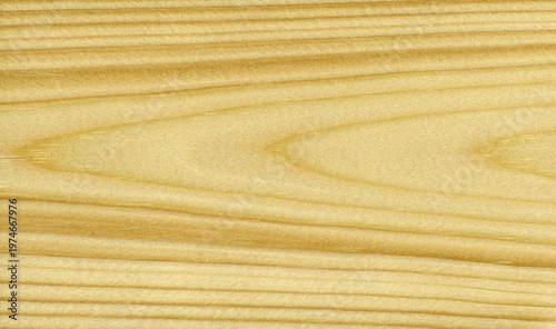 Cuadro en lienzo Set of Backgrounds and Textures