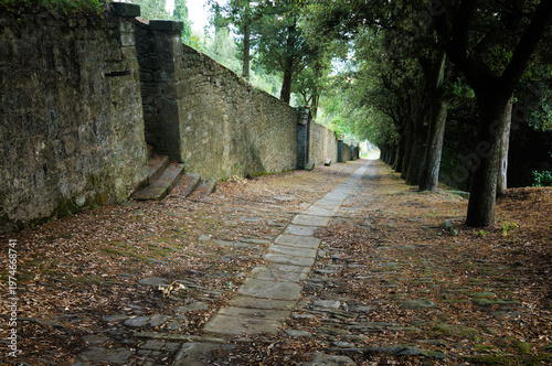 Konstfotografi Ancient stone pathway lined with trees in historic countryside, in Cortona, Prov
