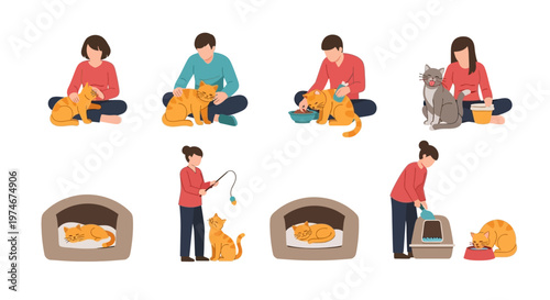Cat Care Routine: Feeding, Playing, Sleeping, Grooming, Litter Box, Pet Love