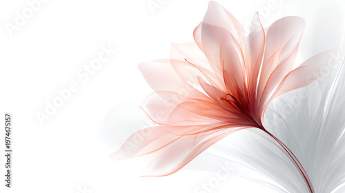A soft pastel pink flower on a white background, delicate petals with a smooth, blurred texture