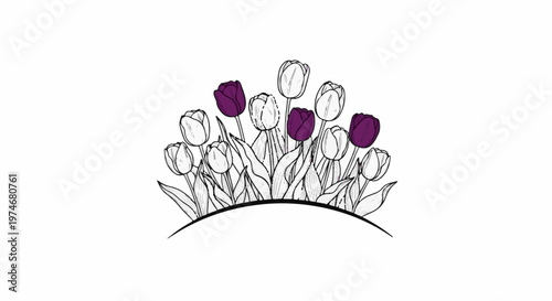 A whimsical collection of outlined tulips with select purple blooms and elegant curvature
