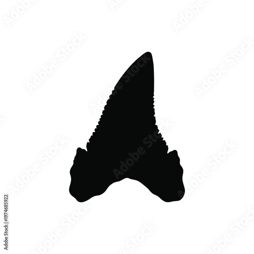 Black silhouette of a fossilized shark tooth