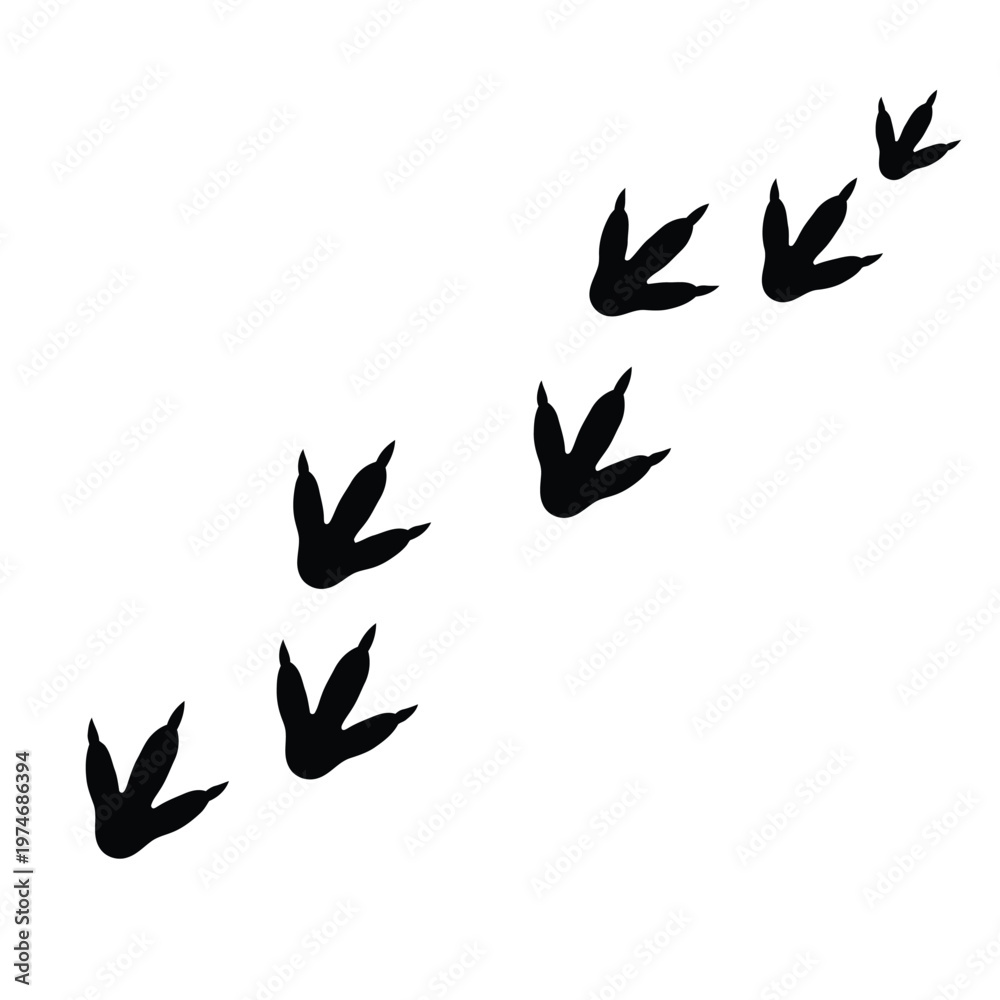 Obraz premium Black bird footprints walking across white background