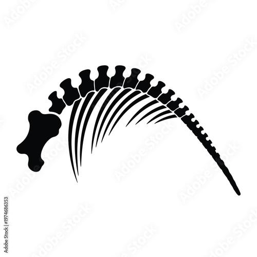 Black dinosaur spine bones silhouette vertebrae
