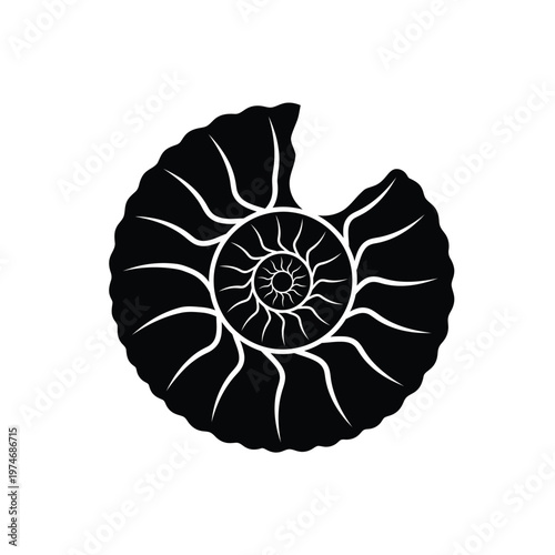 Black and white spiral ammonite fossil silhouette
