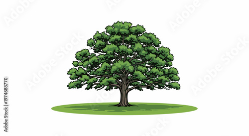 Lush green tree with a thick trunk and expansive foliage
