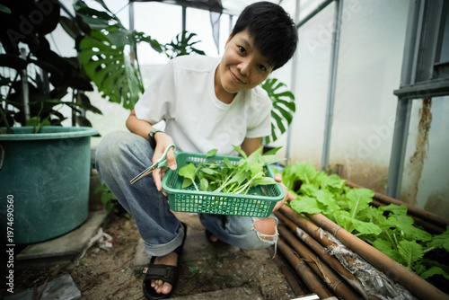 Smiling Asian people gently harvest fresh, vibrant Thai basil and vegetable leaves into a small green plastic basket from an indoor or urban garden area, in preparation for cooking.