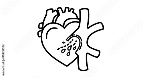 Heart with droplets and aorta.