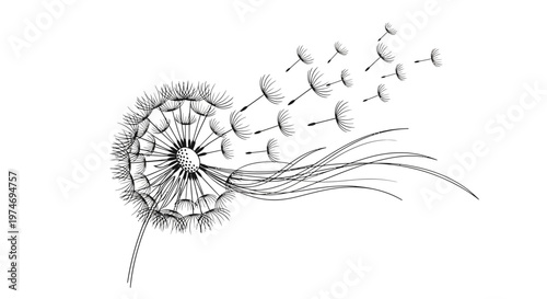 Black and white dandelion seeds blowing away in wind