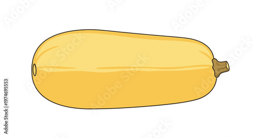 Flat illustration of a yellow squash on white background