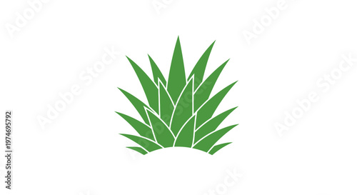 Green spiky plant leaves minimalist graphic illustration icon