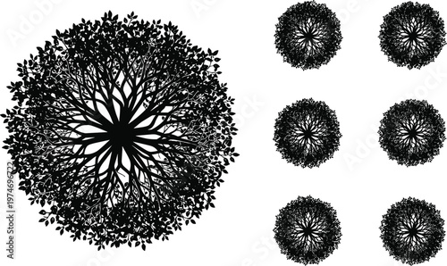 Top view tree canopy silhouettes set, detailed foliage crown shapes for landscape architecture plan, garden design and urban planning vector illustration