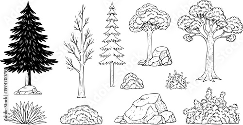 Collection of hand drawn forest elements including trees bushes and rocks in black and white