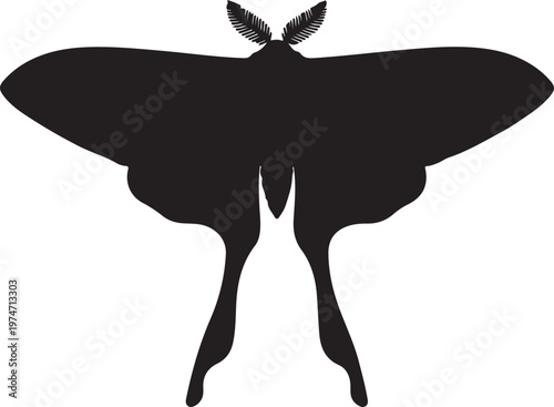  Luna Moth in silhouette on white background.
