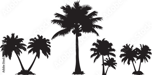 Black palm tree silhouettes isolated on white background with tropical coconut plants vector illustration.