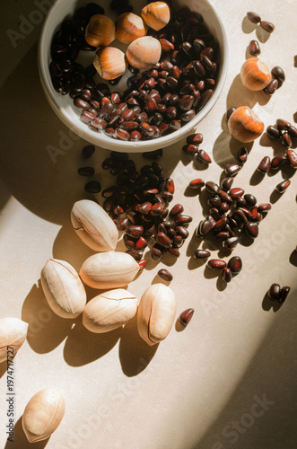 Pecan nuts in shell with pine nuts and hazelnuts in warm sunlight top view