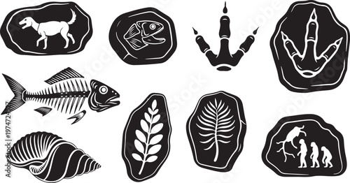Ancient Ocean Fossil Silhouettes of Ammonites Trilobites and Prehistoric Marine Life Vector