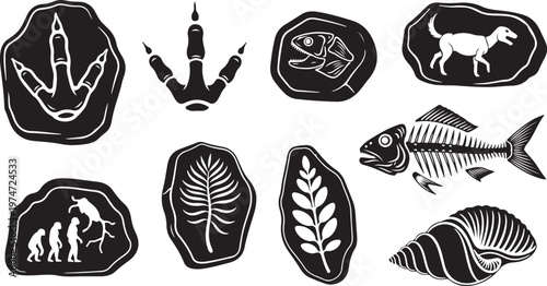 Ancient Ocean Fossil Silhouettes of Ammonites Trilobites and Prehistoric Marine Life Vector