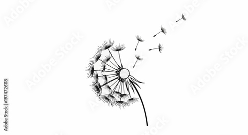 Black and white illustration of a dandelion with seeds blowing in the wind (1)