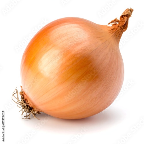 A single, whole, brown onion rests on a white background. It's fully intact, with its outer layers intact and root fibers