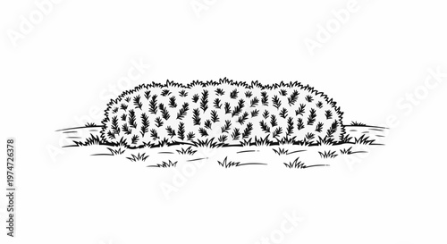 Black and white illustration of a dense, bushy plant with grass