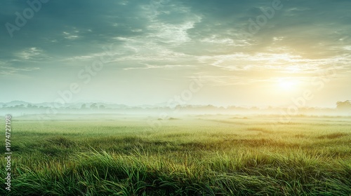 Tranquil Morning Landscape with Fog Over Green Grass Field Under Soft Sunrise Light and Cloudy Sky Background