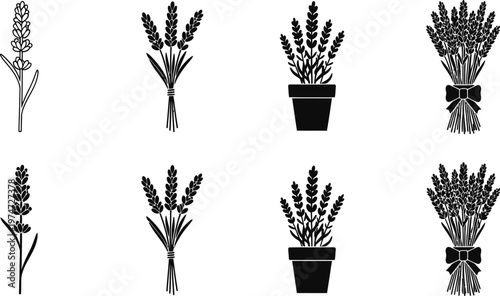 Lavender floral icon set vector illustration of blooming lavender sprigs and potted plants for botanical designs