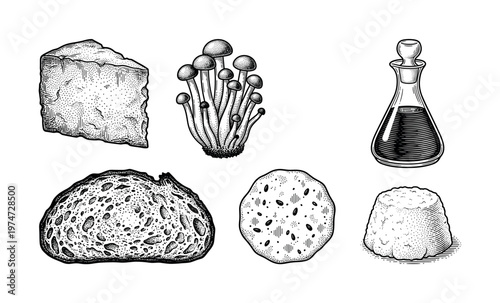 A collection of hand drawn food illustrations in a vintage engraving style. This rustic set includes cheese, mushrooms, bread, and sauce, perfect for menus or organic food branding.